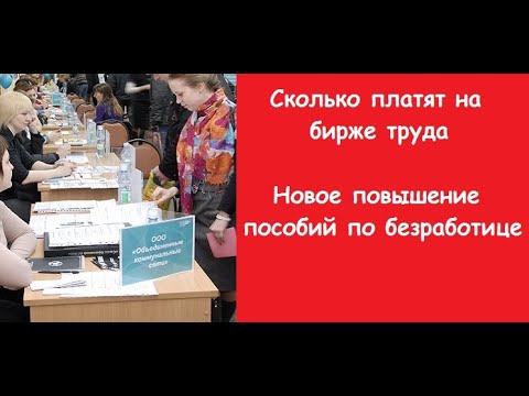 Сколько платят на бирже труда в 2020 году. Новое повышение пособий по безработице.