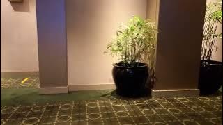 Cinema XXI suara dari Ciwalk mall