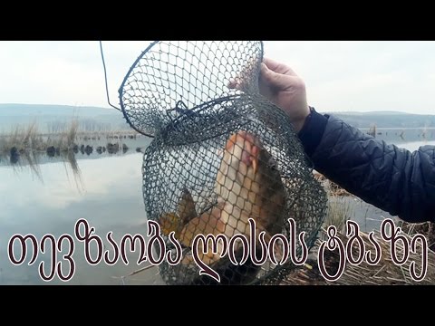 თევზაობა ლისის ტბაზე