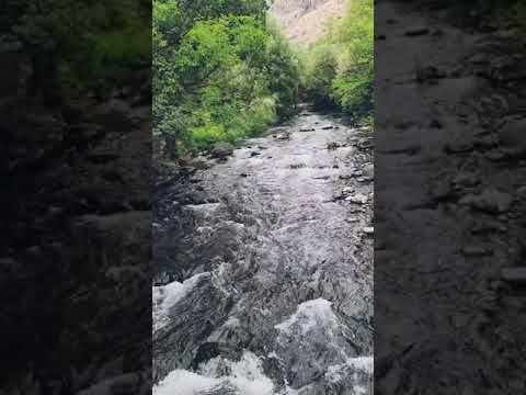 Video: Արխանգելսկի շրջանի գետեր՝ անուններ, նկարագրություն, լուսանկար