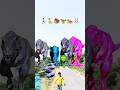 Big dinosaur chase T-rex chasingpart -1441#shorts #dinosaur#youtube#dinosaurs #superman#ddininner🐯🦣🦖