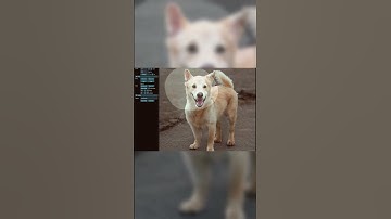 DRAG GAN: The AI That Can Create Drag Queen Looks That Will Blow Your Mind | #aifuture #shorts  #ai