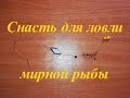 Снасть соска для ловли мирной рыбы