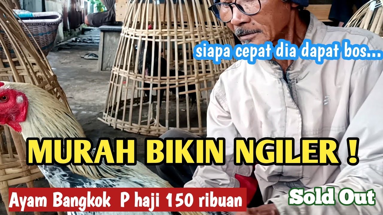 MURAH BIKIN NGILER !!HARGA AYAM BK DI  PASAR SUMPIUH BANYUMAS