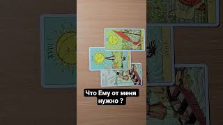 #любовь #таро #картытаронаотношения #отношения #tarot #прогнознаотношения #расклад #гадание