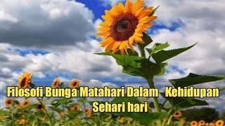 Bunga Matahari Dalam Kehidupan Sehari-Hari #KorbanGadget