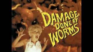 Video thumbnail of "Damage Done By Worms Vicar In A Tutu"