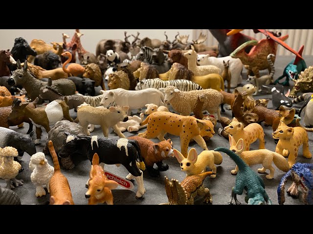 Schleich Animals and Dino Collection