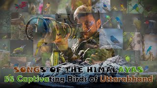 Songs of the Himalayas: Captivating Birds of Uttarakhand | Relaxing Music with Birds Singing
