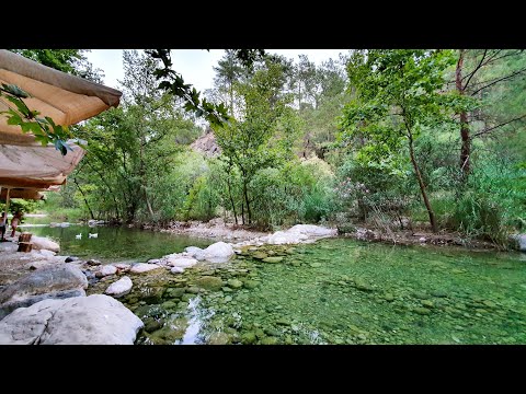 Kemer Tekirova'da muhteşem bir doğal güzellik - Yarıkpınar Meydan Restaurant