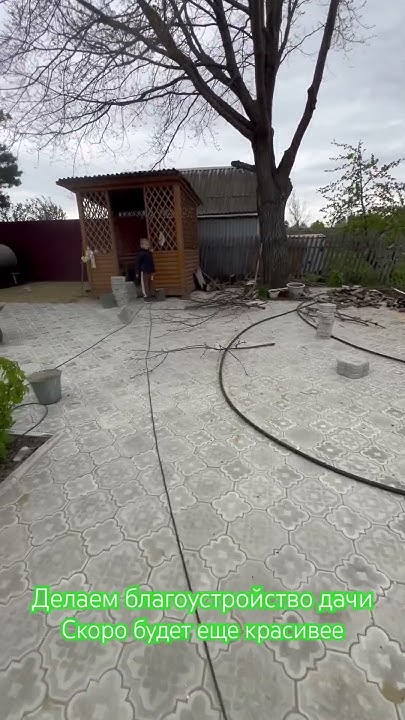 Благоустраиваем дачу, скоро будем сажать туи #обзор #дача # ...