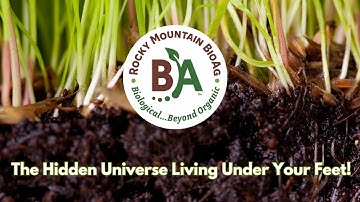 What Makes Soil The Most Amazing Ecosystem on Earth?