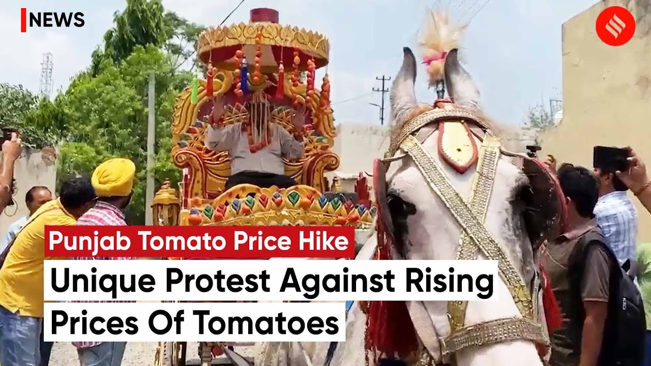 Tomato Price Hike Punjab Man Finds Unique Way To Protest Against