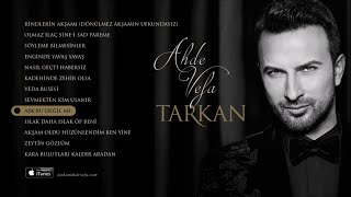 TARKAN - Aşk Bu Değil Mi Resimi