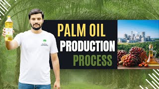 Palm Oil Production Process | From Tree To Bottle | The Real Story Behind Palm Oil