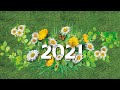 #2021_Happy_new_year | new year status 2021 |  new year whatsapp video 2021 |  happy new year