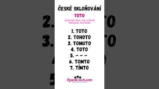 Umíte skloňovat slovo TOTO? (s příklady vět) #czechdeclensions #чешскиесклонения