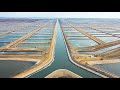 Egyiptom hatalmas vízifarmjai, ami a világ legnagyobb halexportőrévé teszi az országot