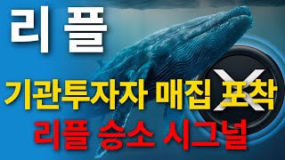 리플 대규모 매집 포착!!! 승소 시그널인가?!