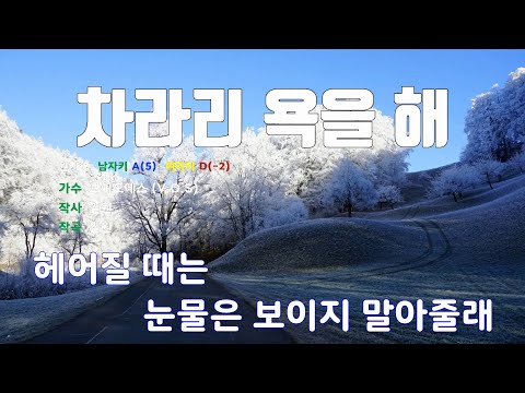 [은성 반주기] 차라리욕을해 - 브이오에스(V.O.S)
