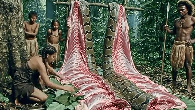 Kop reallik pornosini onlayn tomosha qiling