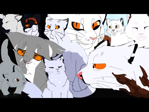 ◈ 1 ◈ HulluRichie: warriors compilation (2011 - 2014)