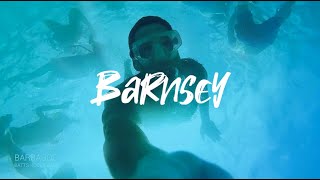 A Year of Barnsey