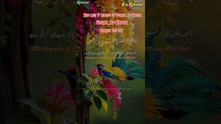 #Surah Al Hashr,, what a sweet recitation,, once you hear it, you want to hear it again and again 🤔