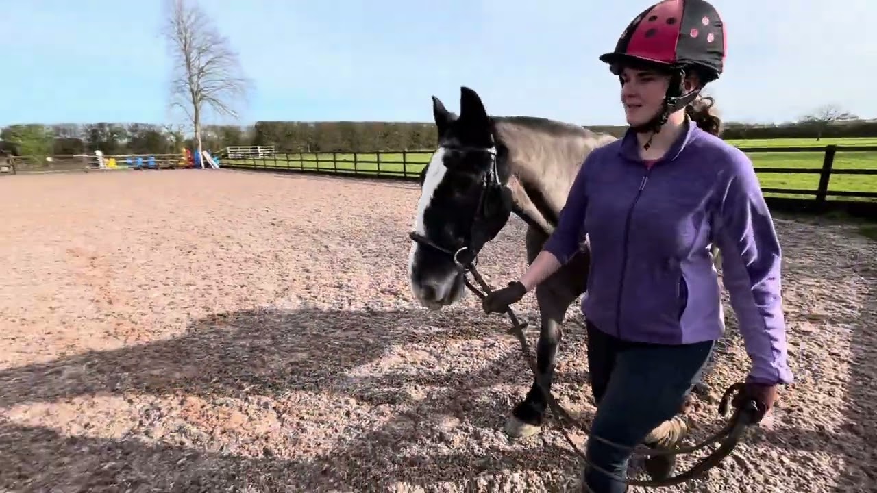 Inhand walk 1 Feb 2026