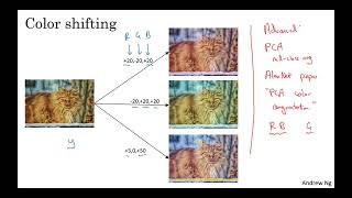 25. Data Augmentation - [Convolutional Neural Networks]