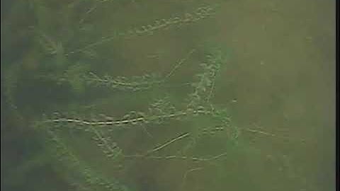 ASR Anti spin reducer before and after fitting FECK winch camera