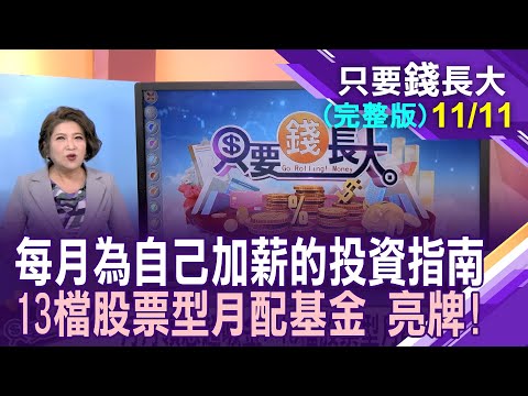 13檔股票型月配基金亮牌!利用累積型再投資?成份股有正中下懷?專家曝投資月配商品的眉角!【20231111只要錢長大(完整版)*鄭明娟(馮志源×呂漢威)】