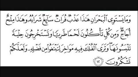 القرأن الكريم - ما تيسر من سورة فاطر - عبدالفتاح الشعشاعي