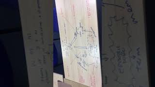 Working memory model- Evaluation Profile