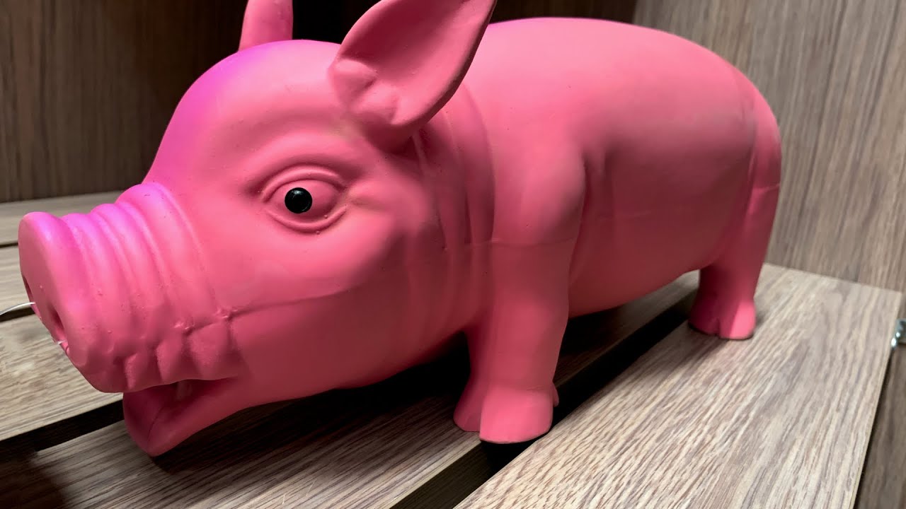 Звук игрушки-пищалки для собак - хрюканье свиньи