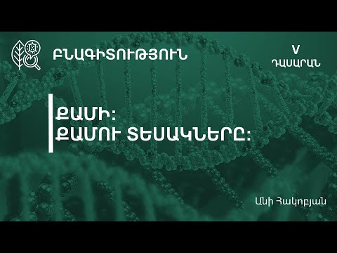 Video: Ի՞նչ է համեմատական վարկանիշային սանդղակը: