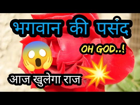 वीडियो: क्या होगा यदि जीवनसाथी अपने चुने हुए से बड़ा है?