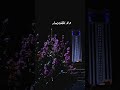 لا تلفت يمين و لا تلفت يسار المشاكل عليها الوقت شرب و كلا انت لا لك شبيهو لا عليك اختيار 