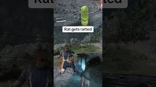 Rat gets ratted...