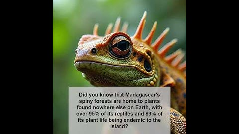Did you know? Fascinating Geography Fact (Part 14)