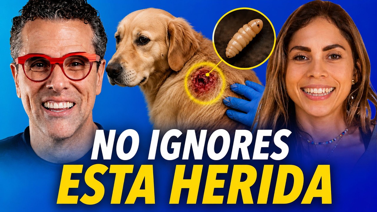 ¡Alerta veterinaria! El peligro oculto tras un pequeño rasguño-Carolina Ancona y Marco Antonio Regil
