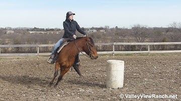 Newt - running the barrels 2! - ValleyViewRanch.net