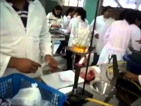 ITTG - Bioquimica I