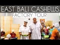 EAST BALI CASHEWS FACTORY TOUR - BEST GRANOLA ON PLANET EARTH