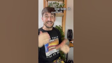 Length of a Precambrian Day part 3 #geology #rocks #nature #science