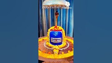 shiv shankar status 🐍🐍🌼🌼🌿🌿 #shivshankar #short #shorts #shortsfeed #shortsyoutube #shortyoutube