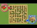【マイクラ】村人って頭良いの？迷路をクリアできるのか検証してみた【マインクラフト】