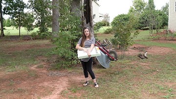 Beekeeping For Beginners - How Screen bottom boards Help Control Varroa Mites