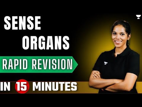 Sense Organs | Rapid Revision | ICSE Class 10 | Biology Part 1 by ...