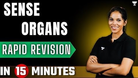 Sense Organs | Rapid Revision | ICSE Class 10 | Biology Part 1 by Rinalda Ma